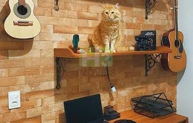 Imagem 5: Tijucas - Apartamento Padrão - Joaia