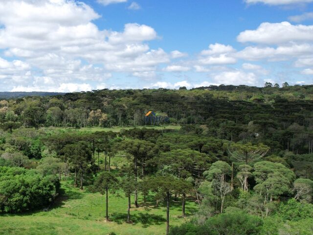 Imagem 6: Terreno à Venda 11.000,00 m² em Campo Alegre, SC