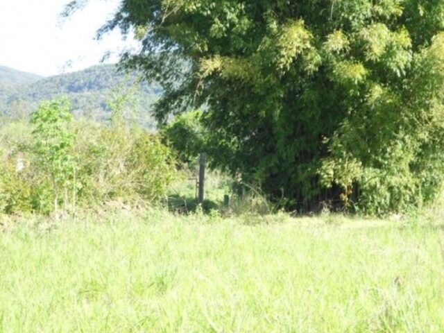 Imagem 2: AREA RURAL em Nova Petrópolis - RS, Linha Temerária