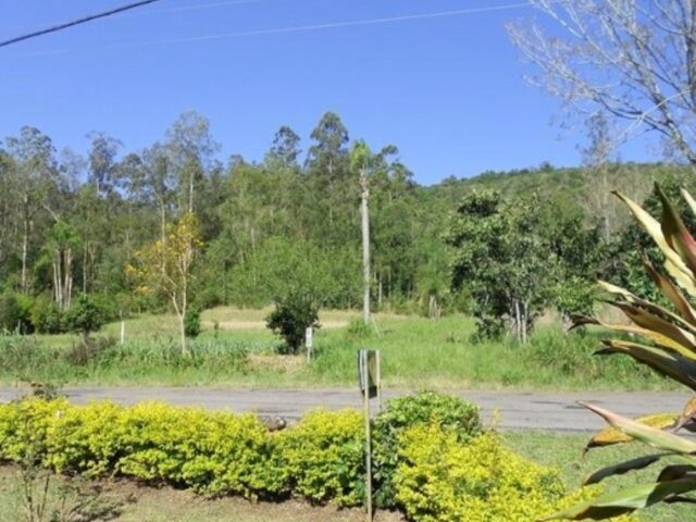 Imagem 3: AREA RURAL em Nova Petrópolis - RS, Linha Temerária