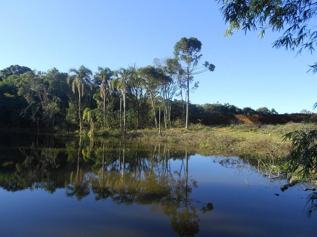 Imagem 6: AREA RURAL em Nova Petrópolis - RS, Pinhal Alto