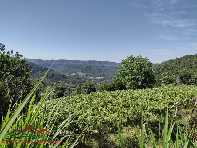 Imagem 4: CHACARA RURAL em PICADA CAFÉ - RS, Kafee eck