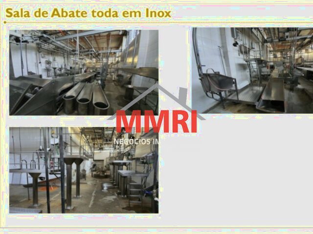Imagem 11: FAZENDA RURAL em AQUIDAUANA - MS, ni