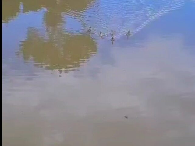 Imagem 6: SÍTIO RURAL em CRUZÍLIA - MG, RURAL