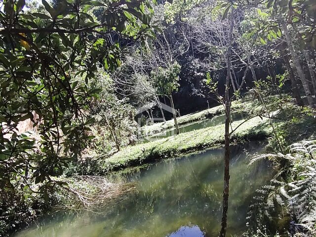 Imagem 16: Venda de Chácara em Caldas