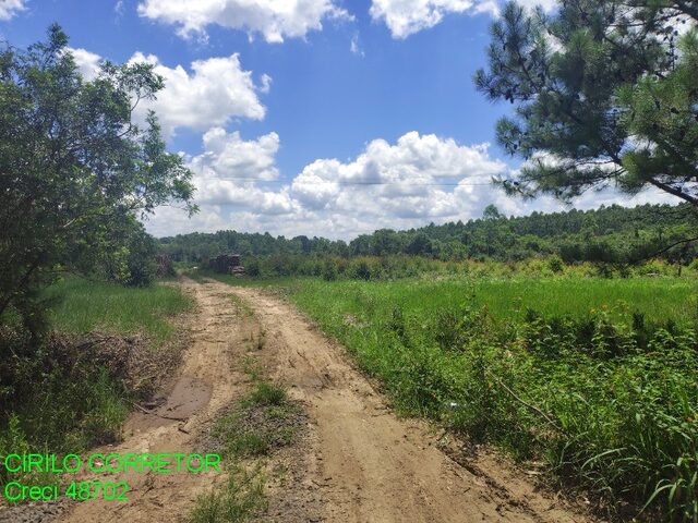 Imagem: CHACARA RURAL em MONTENEGRO - RS, Potreiro