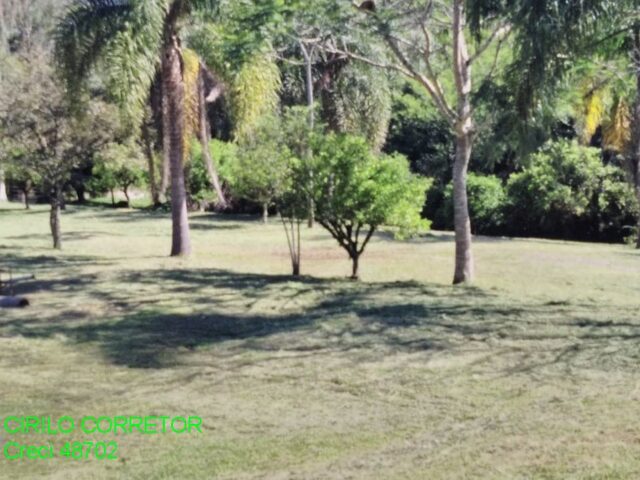 Imagem 11: CHACARA RURAL em MONTENEGRO - RS, CAMPO DO MEIO