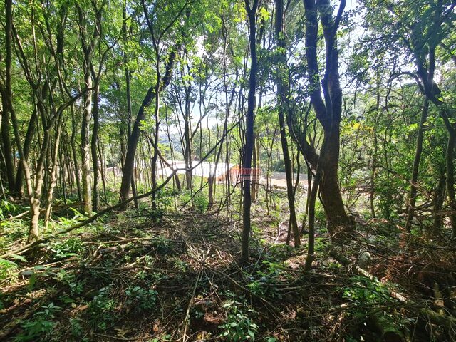 Imagem 10: Um pedacinho da Serra!