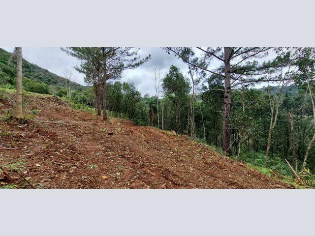 Imagem 8: Área de terra bairro Linha Olinda, Nova Petrópolis RS