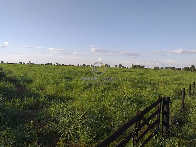 Imagem 8: Fazenda em Sandolândia TO