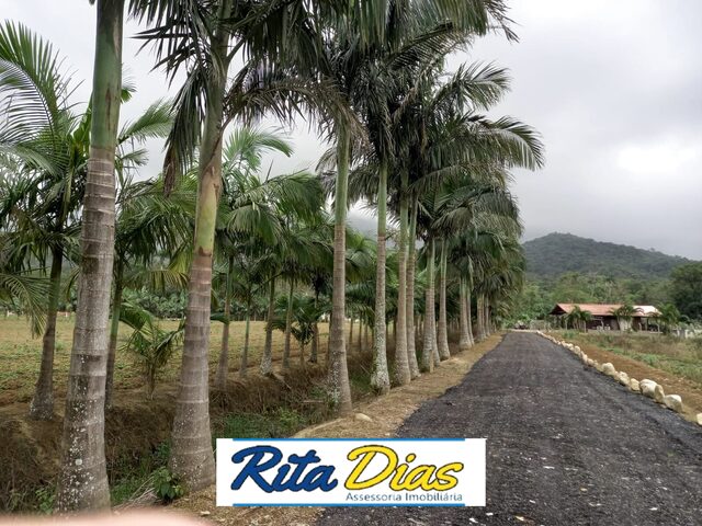 Imagem 2: Terreno à venda no bairro PONTE ALTA - Morretes/PR