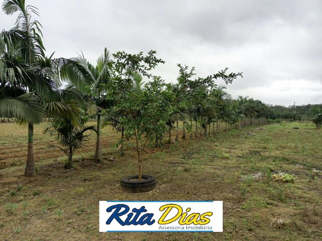 Imagem 8: Terreno à venda no bairro PONTE ALTA - Morretes/PR