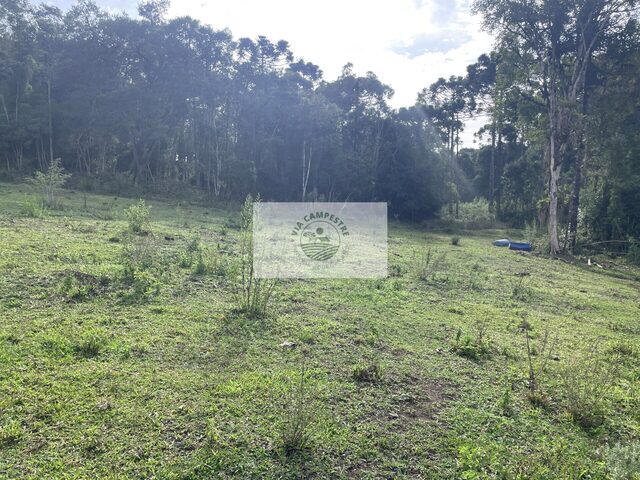 Imagem 3: Sítio com 32.288 m², com nascente e riacho, próximo ao Sitio Cambará, escriturado