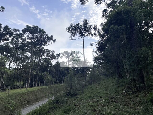 Imagem 5: Sítio com 32.288 m², com nascente e riacho, próximo ao Sitio Cambará, escriturado