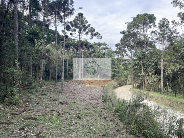 Imagem 7: Sítio com 32.288 m², com nascente e riacho, próximo ao Sitio Cambará, escriturado