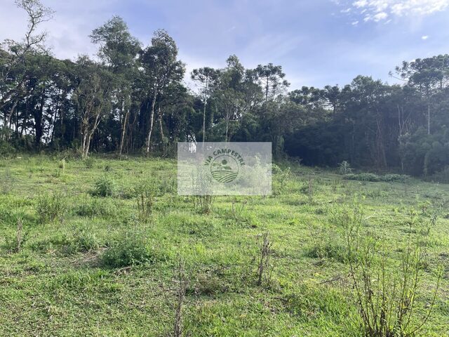Imagem 11: Sítio com 32.288 m², com nascente e riacho, próximo ao Sitio Cambará, escriturado