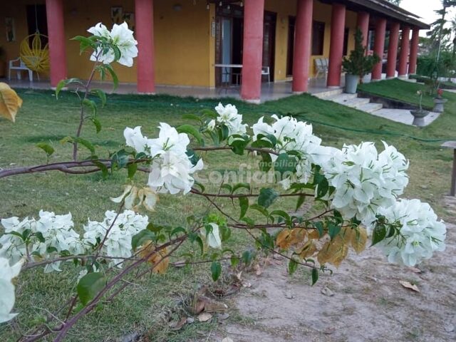 Imagem: Sitio à Venda em Caucaia no Coité Pedreiras