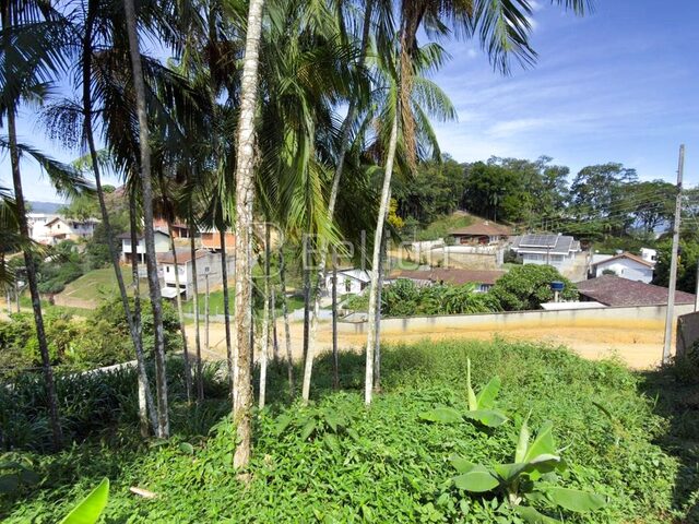 Imagem 3: Terreno à venda no bairro Dos Estados em Timbó/SC