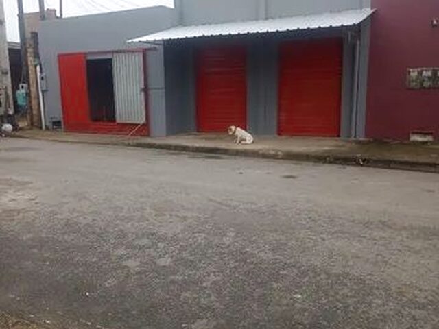Imagem: Venda