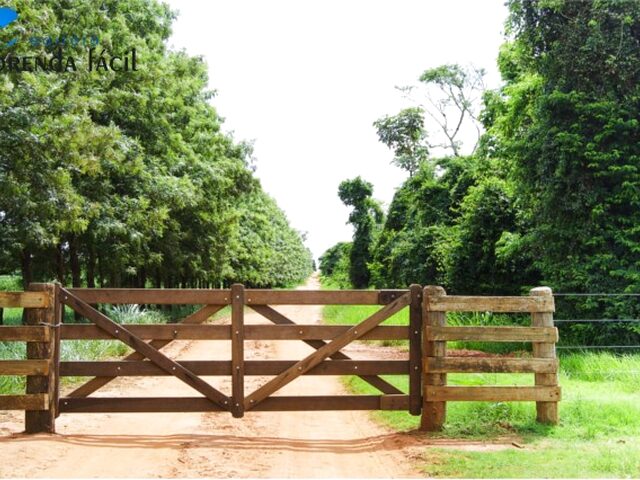 Imagem: Crédito Rural R$ 200.000,00 a R$ 1.000.000,00