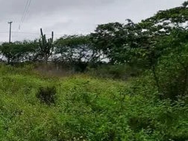 Imagem 1: Vende-Se Uma Tarefa e Meia de Terras