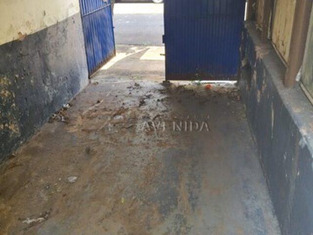 Imagem 11: Londrina - Casa Padrão - Ideal
