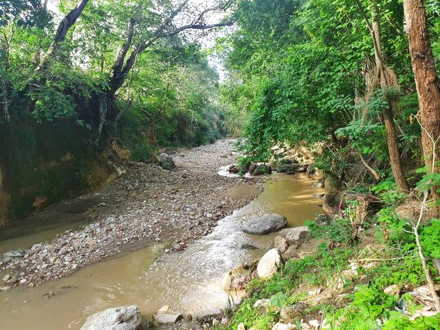 Imagem 2: Sítio na Estrada do Arajara