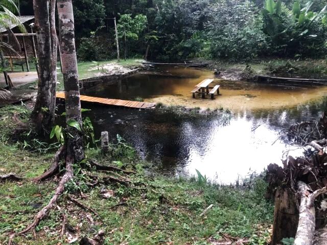 Imagem 8: Vendo Um Sitio Terreno / lote com 2 dormitórios