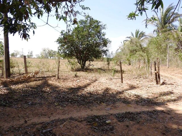 Imagem 16: Terreno Comercial / Residencial para Venda