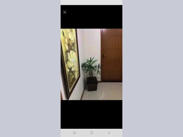 Imagem 10: Vendo Ou Alugo para Fins Comerciais