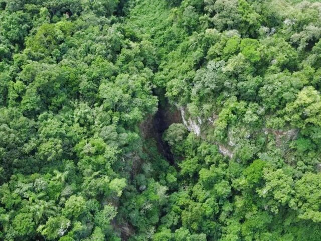 Imagem 3: Sítio / Chácara para Venda em Nova Petrópolis, Feliz Lembrança, 2 Dormitórios, 1