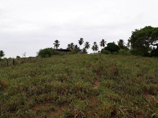 Imagem 11: Terreno em Cajazeiras de Abrantes