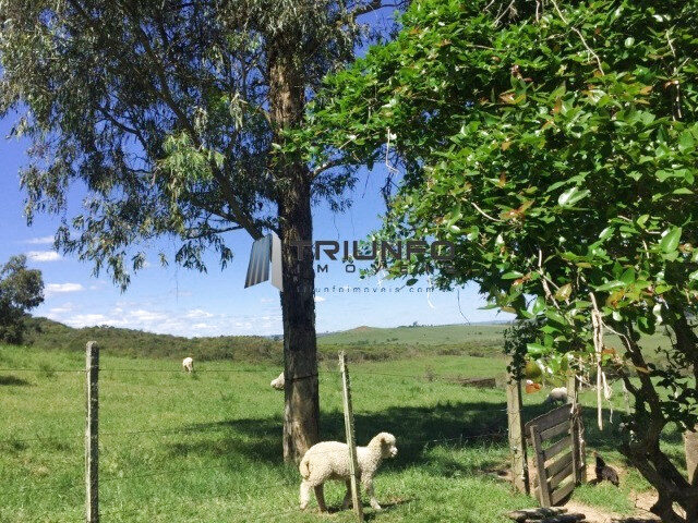Imagem 15: Ótimo Investimento Rural Bem Próximo Ao Centro da Cidade!!!
