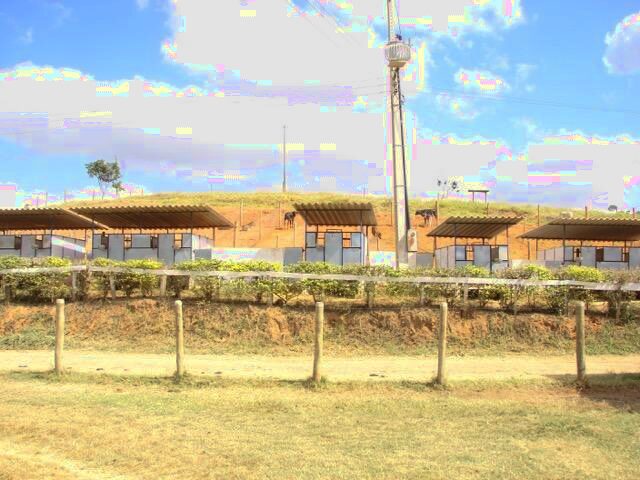 Imagem 7: Sítio Completo com 53H em Mutum - Mg