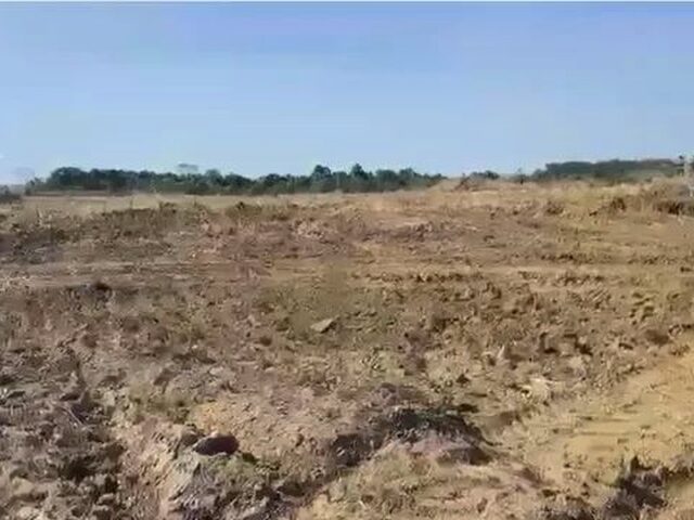 Imagem 14: Fazenda a Venda em Marianópolis - To