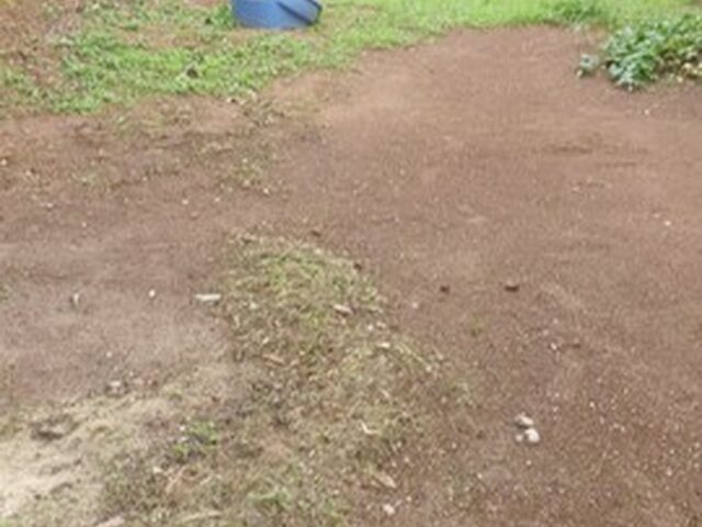 Imagem 16: Casa/ Terreno no Estreito - Florianópolis - Sc