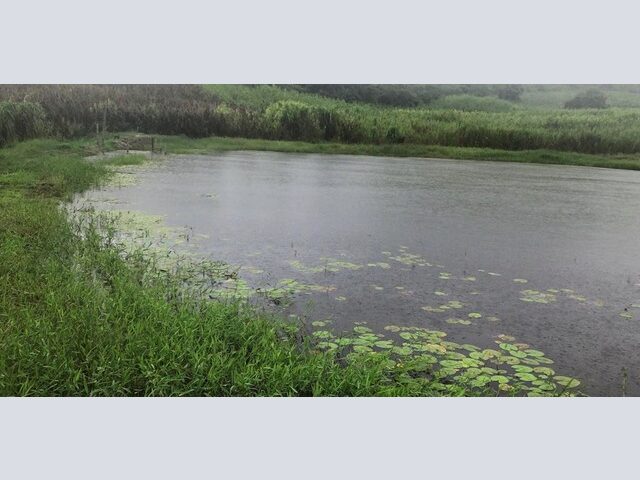 Imagem: Vendo Fazenda em T Darca