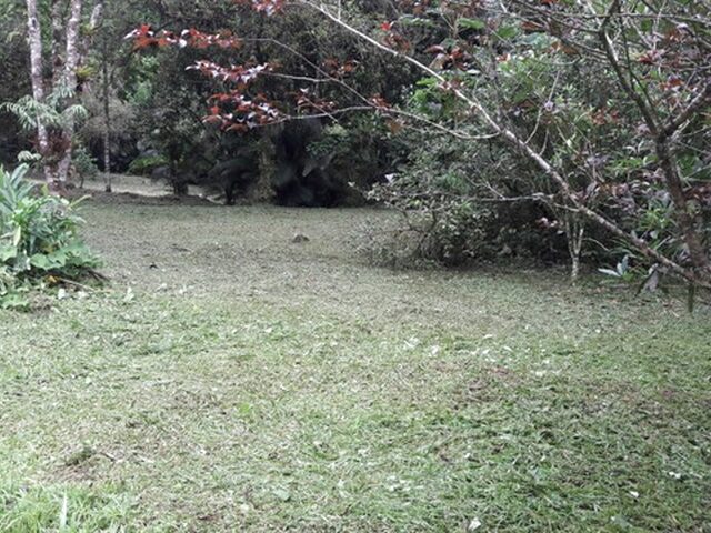 Imagem 15: Sítio À Venda em Joinville/Sc