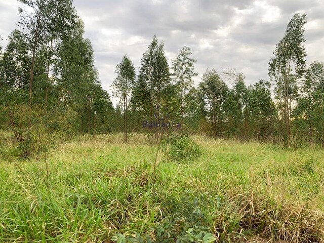 Imagem 13: Anastácio - Fazenda - Rural