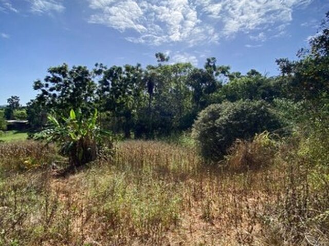 Imagem: Chácara com 7.500M² em Serra Azul. ( Mateus