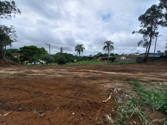 Imagem 7: Terreno À Venda, Rs118 - Viamão/Rs