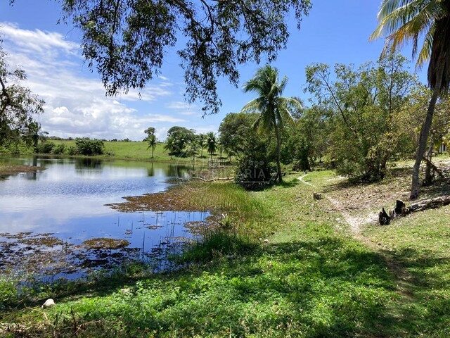 Imagem: Terreno no Cond. Busca Vida em Abrantes