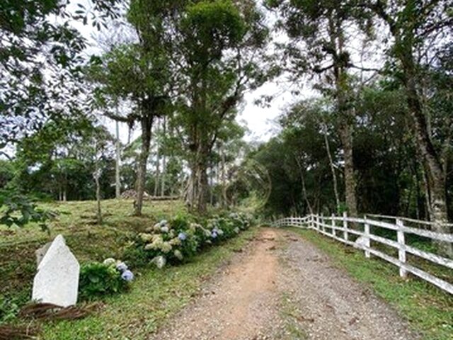 Imagem: Chácara com 4 Dormitórios À Venda, 72600