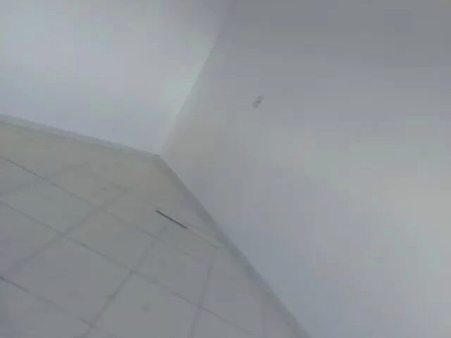 Imagem 3: Aluga-Se Apartamento Primeiro Andar