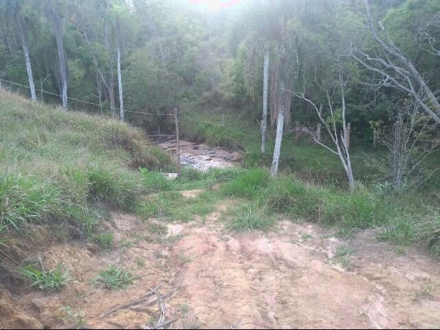 Imagem 1: Vende-Se Sitio em Pinhalão/Pr