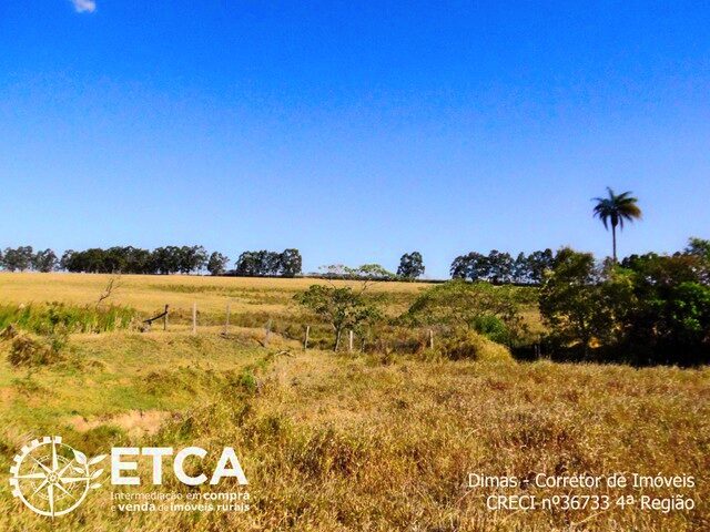 Imagem 5: Terreno Rural para Venda