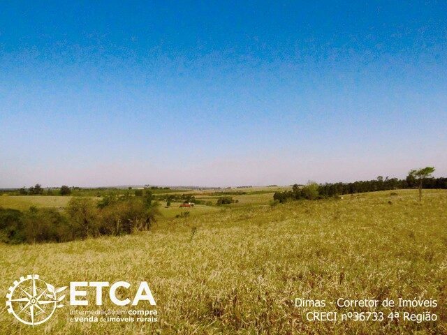 Imagem 7: Terreno Rural para Venda