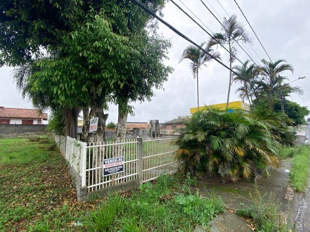 Imagem 8: Terreno Jardim Maristela