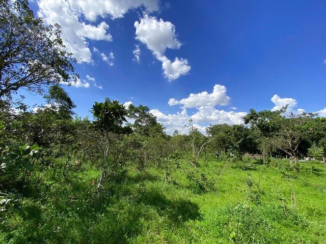 Imagem 8: Chácara com 4.700 M² Campo Dourado