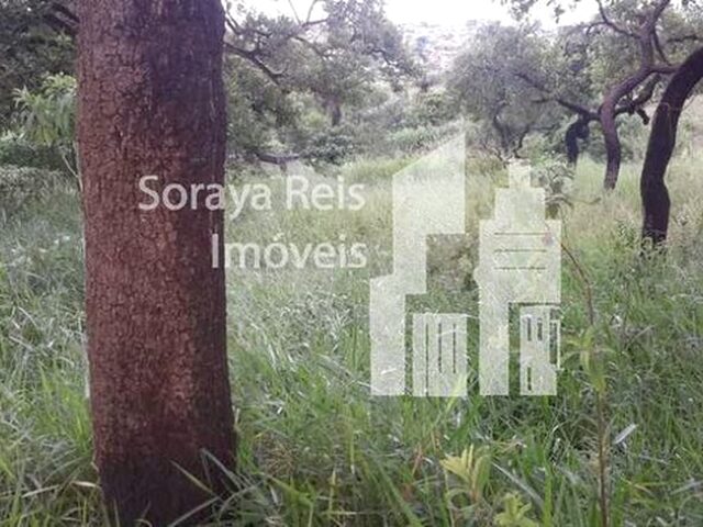 Imagem 11: Igarapé - Terreno Padrão - Centro